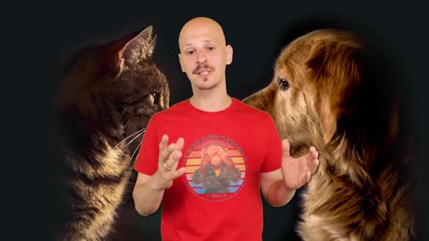 60 Facts about DOGS and CATS