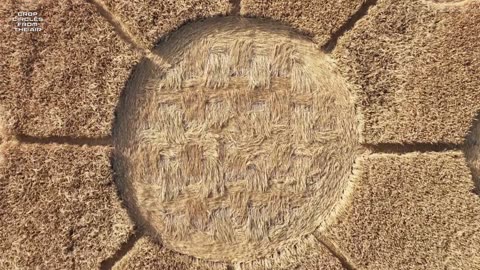 Starburst Crop Circle | Kingsdon Somerset | 17 June 2024 | Crop Circles From The Air