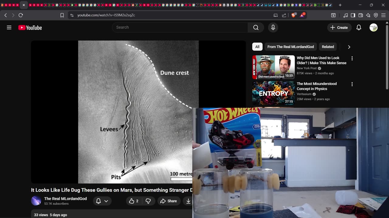 Lev &Virginia?????? Spider Pairing: Audax (Bold) Jumping Spider. Christian Love LIVE