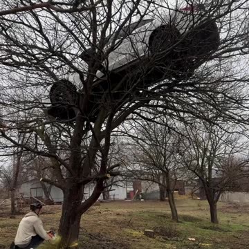 If You Can't Climb Trees, Try This Method. 🙄😳