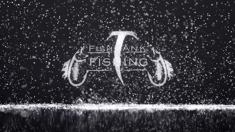 I Really Needed This Fish