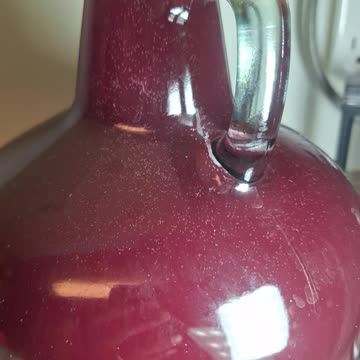My friend's project, homemade blueberry wine and it's working!