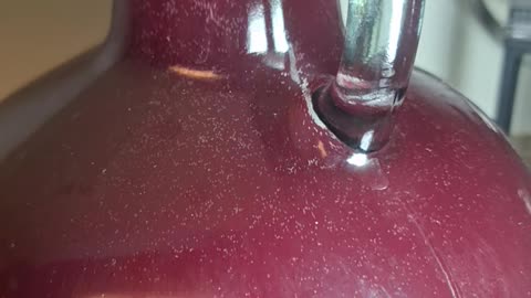 My friend's project, homemade blueberry wine and it's working!