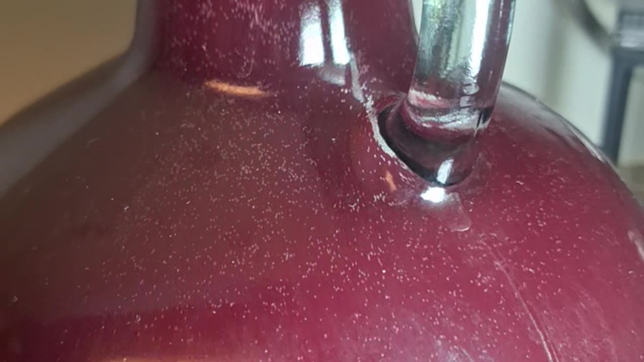 My friend's project, homemade blueberry wine and it's working!
