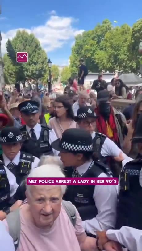 Over 20 British police officers some wearing hijabs arrested two 90 year old women.