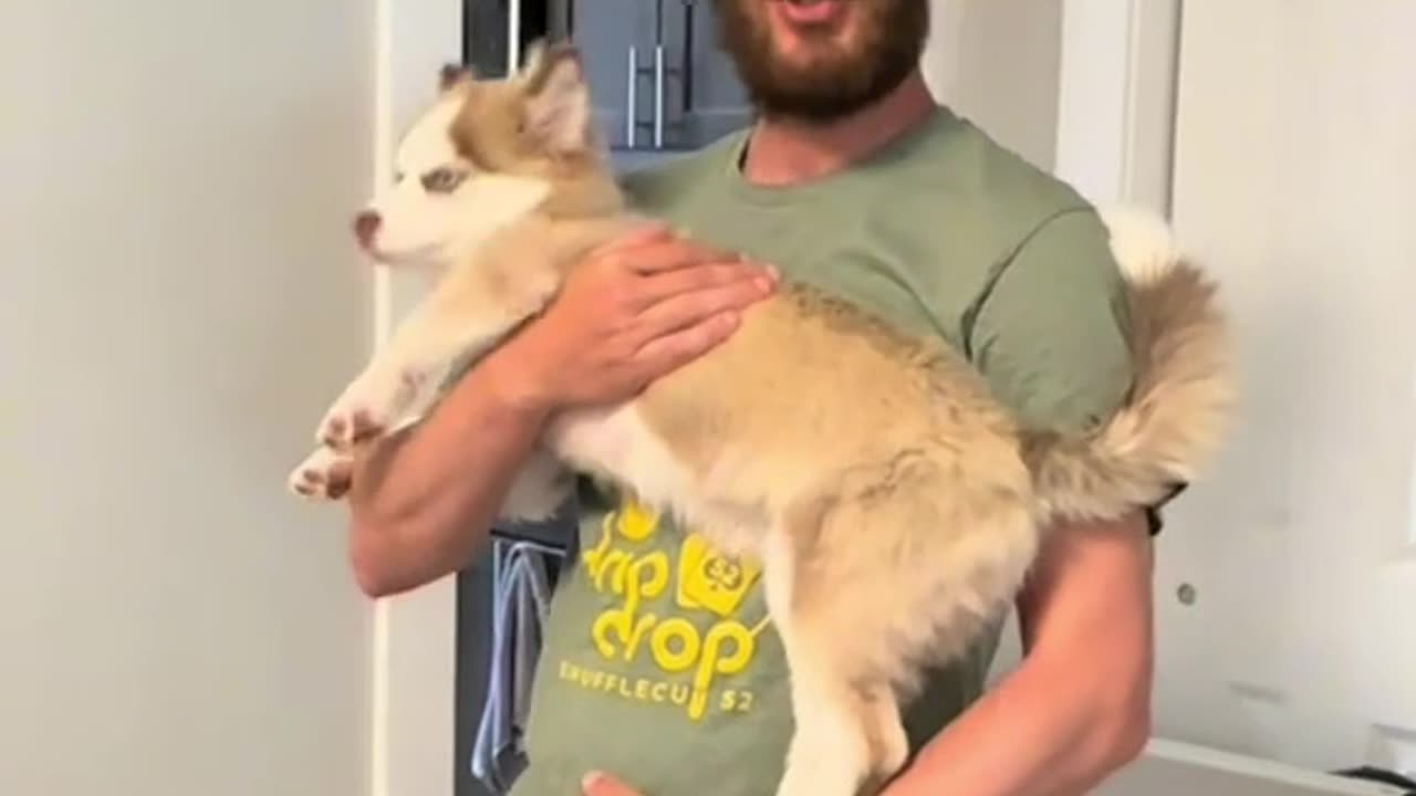 Telling my husband, I got COVID for a 4th time