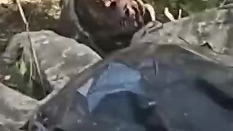 Ukrainian soldier