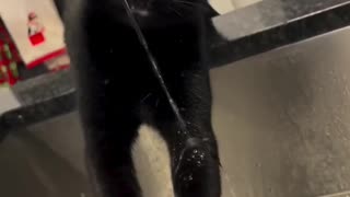 💡 Speedy Hydration System, But It's Hilarious! | FunFM