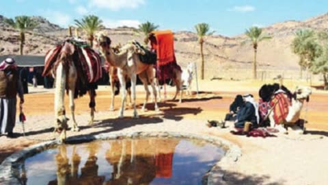‏قصة وقصيدة الشيخ سعدون العواجي مع أبنائه عقاب وحجاب
