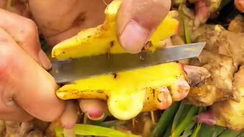 fu