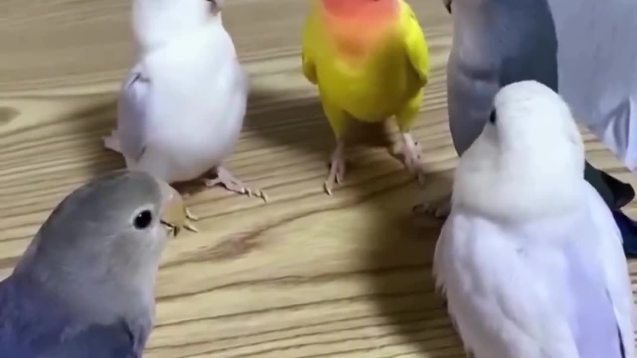 Pretending to be having a very serious meeting