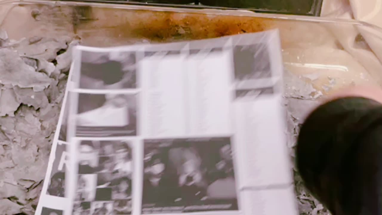 Tim Rifat TikTok Videos