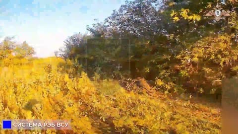 🚁🔥 Ukraine Russia War | FPV Drone Strikes by 33rd Motorized Rifle Regiment | RCF