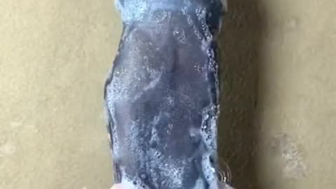 Very helpful trick's
