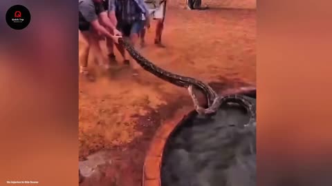 Most Incredible Moments