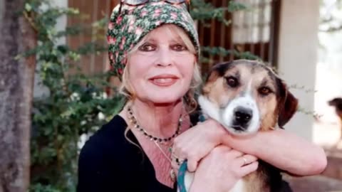 Who Is Nicolas-Jacques Charrier Brigitte Bardot’s Only Son Explained