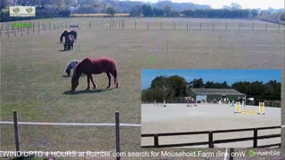 Mousehold Farm All Weather Riding arena