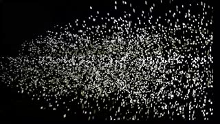 JLRC Showjumping 09.11.25