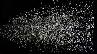 JLRC Showjumping 09.11.25