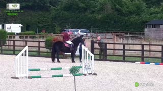 Live Stream & Replays