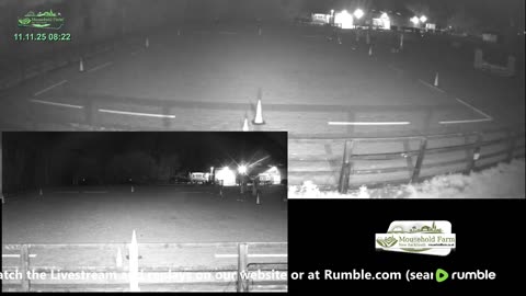 JLRC Showjumping 09.11.25