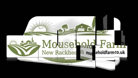 Live Stream & Replays