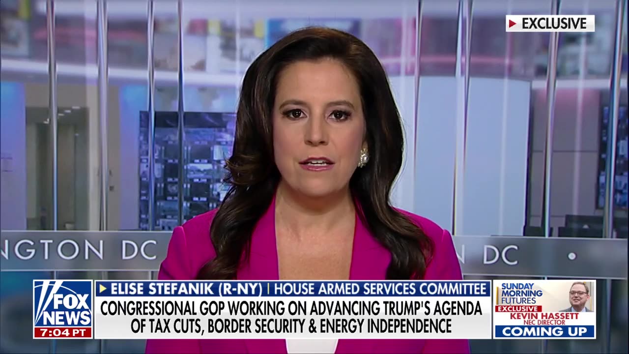 Elise Stefanik speaks out on 'very important' decision after Trump withdraws her UN bid
