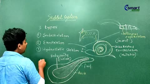 +2 Biology Chapter 16 Part 5B-200