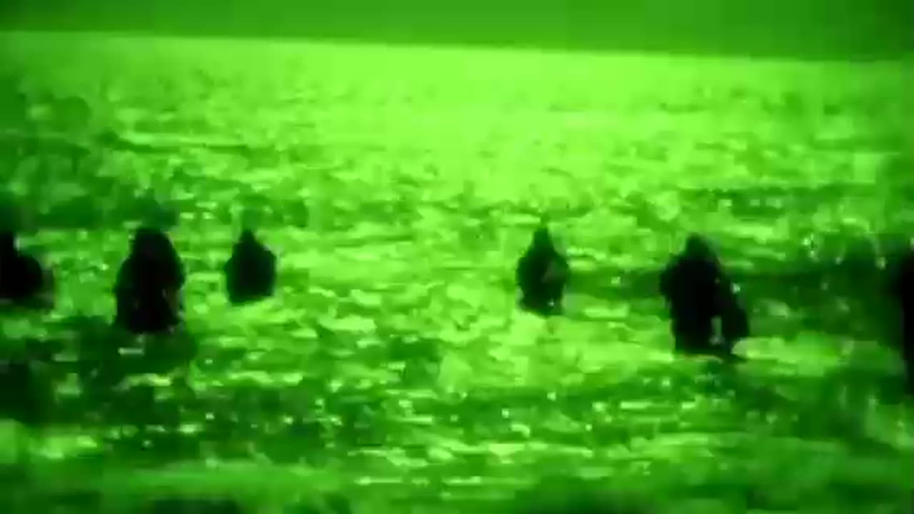 U.S. NAVY SEALS