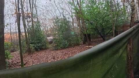 Rainy Day Ravenshead Airsoft December 2025