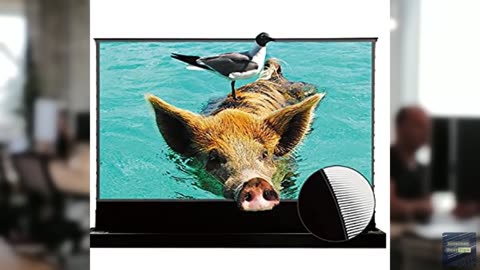 Vivid Storm Since 2004-Projection Screen S PRO Portable Folding Stand Indoor Ten