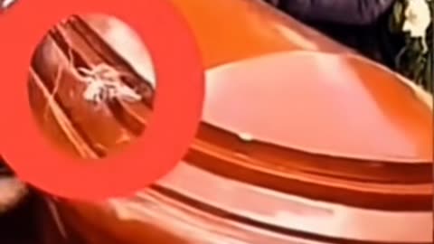 👻😨 Ghost Sighting in New York! | TheHauntingHour