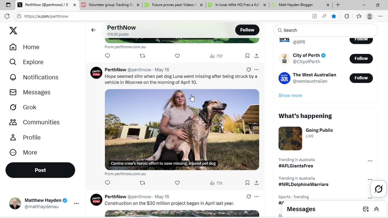 Perth Now runs story about dog named Luna after my video about dog named Luna. Gaslighting for sure