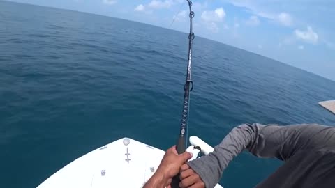 pesca a pesci grossi o big fish, parte 2, hammer shark o grande squalo martello_part10