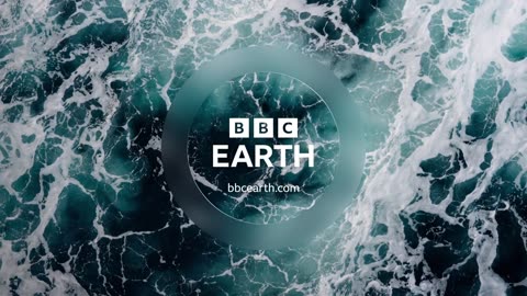 ‎Romesh Experiences Haitian Voodoo Ritual | Misadventures of Romesh Ranganathan | BBC Earth Explore