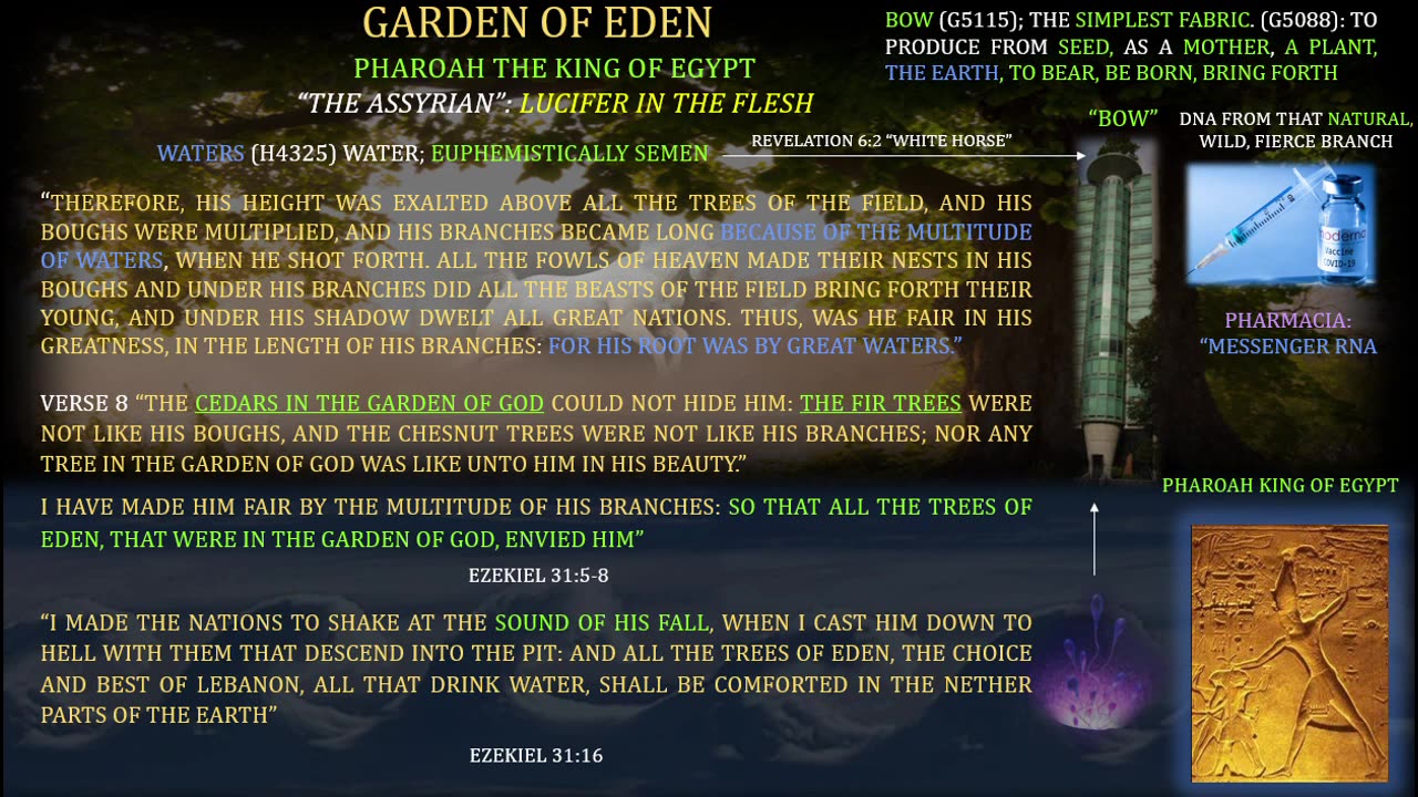 The Spiritual Tsunami that is Coming”_ Part 1_ “The White Horse of Revelation 6.2