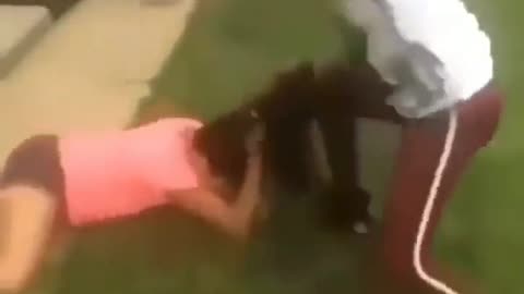Young one sided cat fight
