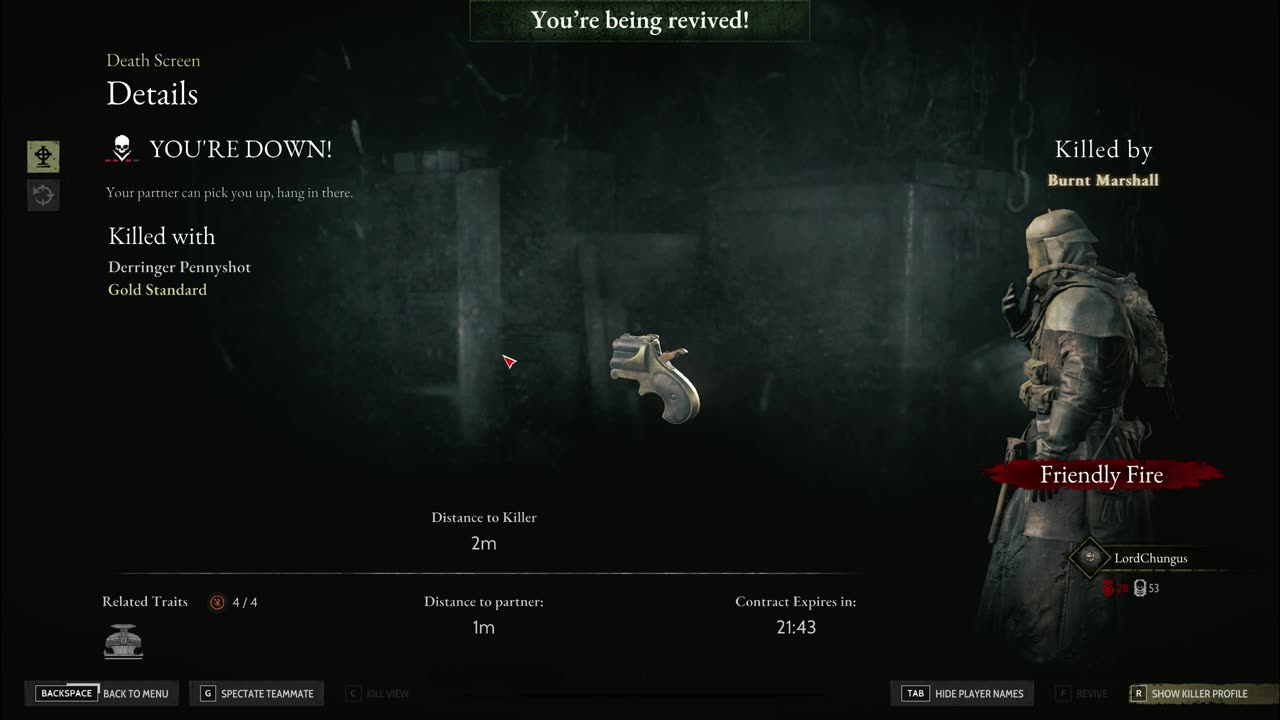 Huntshowdown 1896: oops