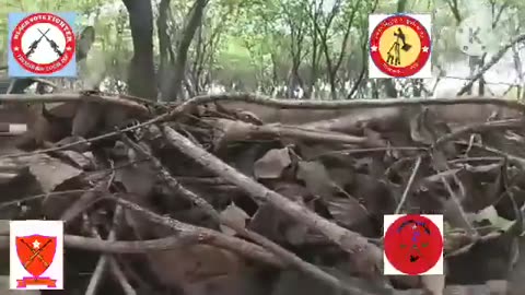 💥🌿 Myanmar War | PDF Guerrillas Ambush Junta Column in Yinmabin | RCF