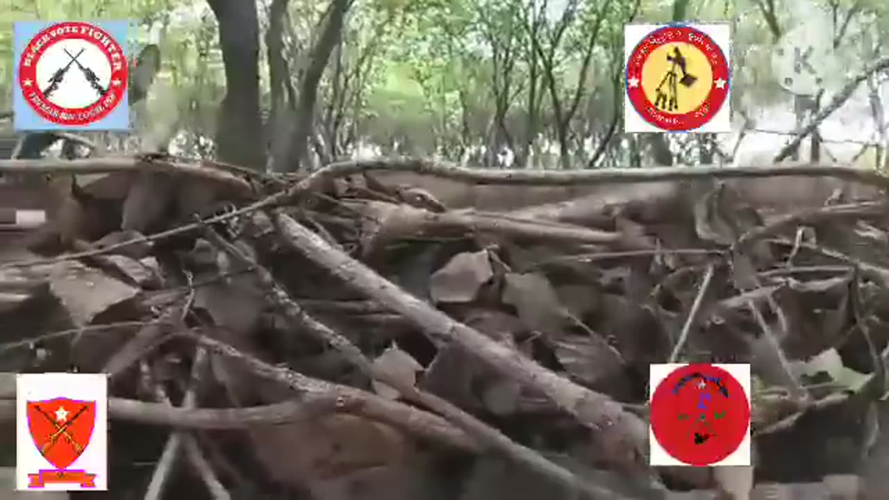 💥🌿 Myanmar War | PDF Guerrillas Ambush Junta Column in Yinmabin | RCF