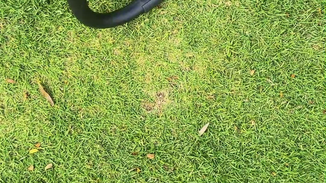 wildness camping black foldable camping chair