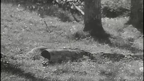 Hemsöborna 1965 d1e2