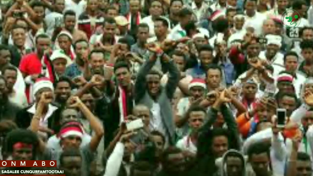 Qophii Addaa ONM-ABO Adoolessa 17-2025 itti dhiyaadhaa!