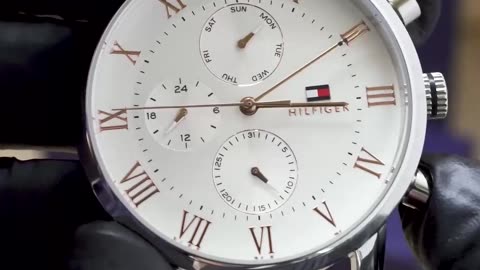Tommy Hilfiger Men’s Watch 1791400
