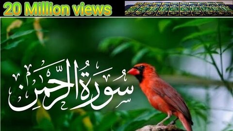 Surah Rahman Ki Very Beautiful Talavat and very nice voice and amazing vidou