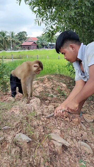 Best SokYaa, OG, Pao & Mom Are Videomous Around The World #shorts #anime #trend #edit