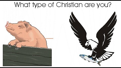 What Type of Christian are you? An Eagle or a Pig?