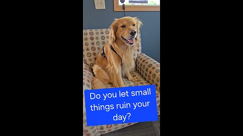 Do you let small things ruin your day?