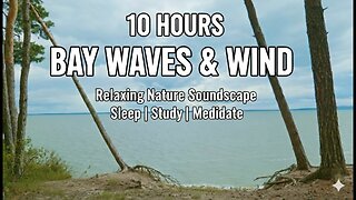 Calming Bay Sounds for Deep Sleep | Wind, Waves & Overcast Sky