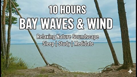 Calming Bay Sounds for Deep Sleep | Wind, Waves & Overcast Sky